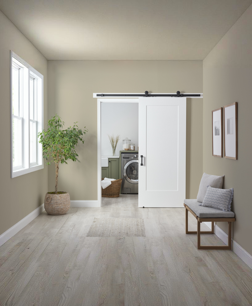 1-Panel Barn Door, HomeStory Doors 1-Panel Barn Door, HomeStory Doors