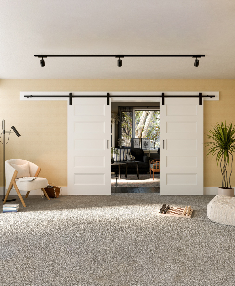 2-Panel Barn Door, HomeStory Doors 2-Panel Barn Door, HomeStory Doors